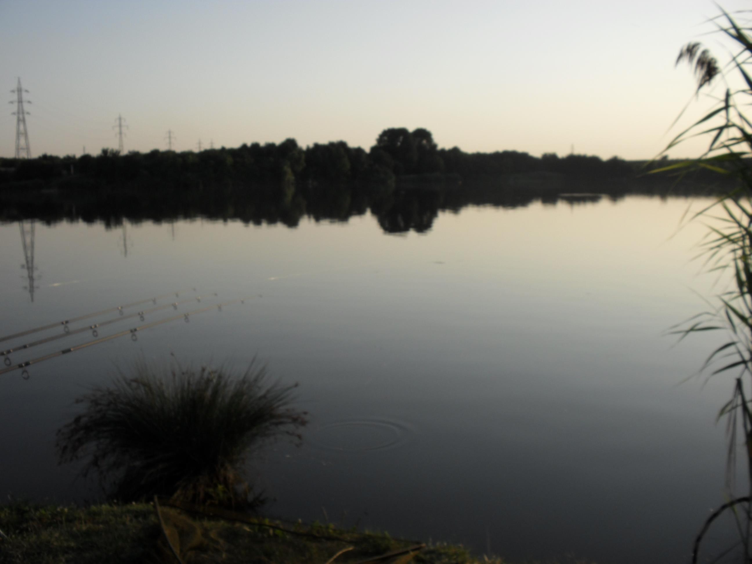 somn mania tancabesti - SAM_0864.JPG